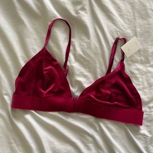 NWT Urban Outfitters Red Velvet Triangle Bralette